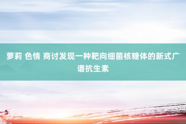 萝莉 色情 商讨发现一种靶向细菌核糖体的新式广谱抗生素