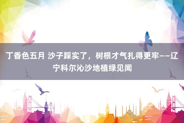 丁香色五月 沙子踩实了，树根才气扎得更牢——辽宁科尔沁沙地植绿见闻