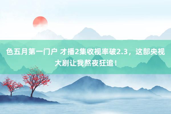 色五月第一门户 才播2集收视率破2.3，这部央视大剧让我熬夜狂追！