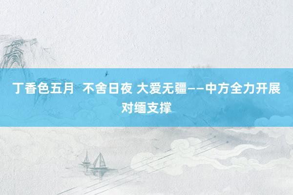 丁香色五月  不舍日夜 大爱无疆——中方全力开展对缅支撑