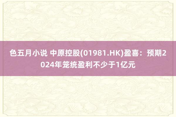 色五月小说 中原控股(01981.HK)盈喜：预期2024年笼统盈利不少于1亿元