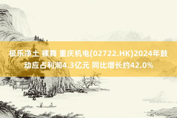 极乐净土 裸舞 重庆机电(02722.HK)2024年鼓动应占利润4.3亿元 同比增长约42.0%