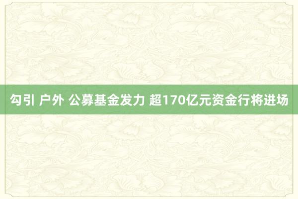 勾引 户外 公募基金发力 超170亿元资金行将进场