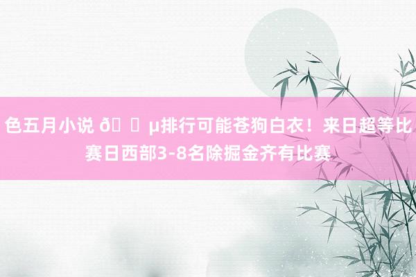 色五月小说 😵排行可能苍狗白衣！来日超等比赛日西部3-8名除掘金齐有比赛