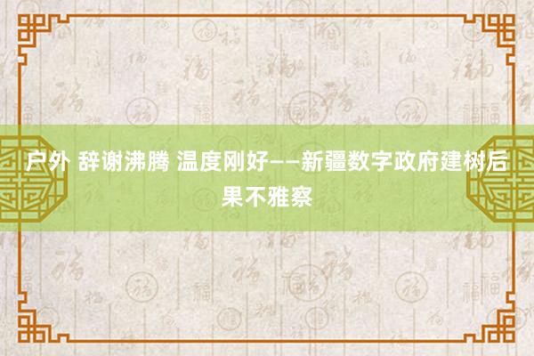 户外 辞谢沸腾 温度刚好——新疆数字政府建树后果不雅察