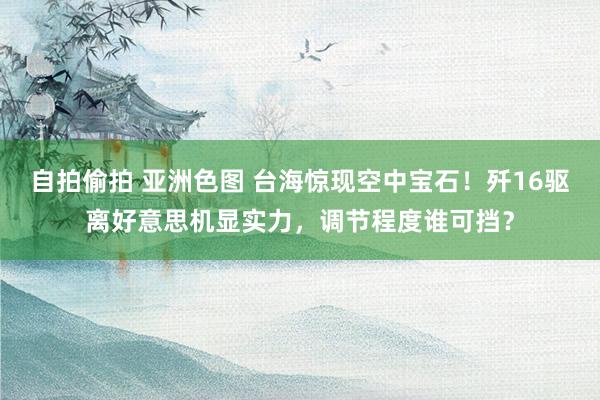自拍偷拍 亚洲色图 台海惊现空中宝石！歼16驱离好意思机显实力，调节程度谁可挡？
