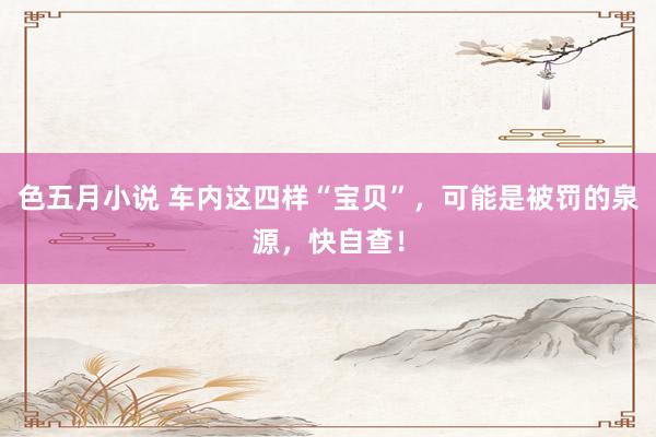 色五月小说 车内这四样“宝贝”，可能是被罚的泉源，快自查！