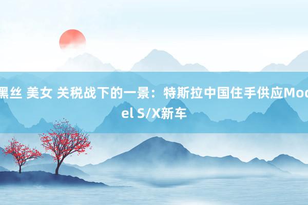 黑丝 美女 关税战下的一景：特斯拉中国住手供应Model S/X新车