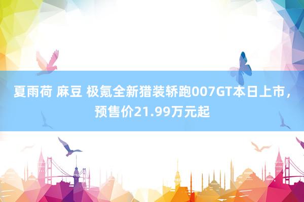 夏雨荷 麻豆 极氪全新猎装轿跑007GT本日上市，预售价21.99万元起