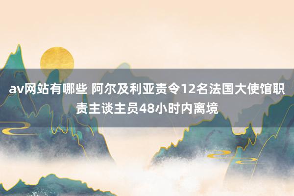 av网站有哪些 阿尔及利亚责令12名法国大使馆职责主谈主员48小时内离境