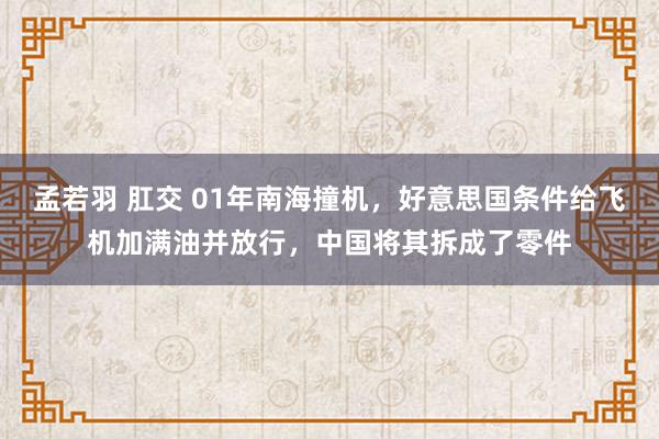 孟若羽 肛交 01年南海撞机，好意思国条件给飞机加满油并放行，中国将其拆成了零件