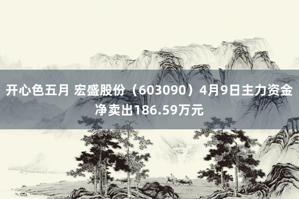 开心色五月 宏盛股份（603090）4月9日主力资金净卖出186.59万元