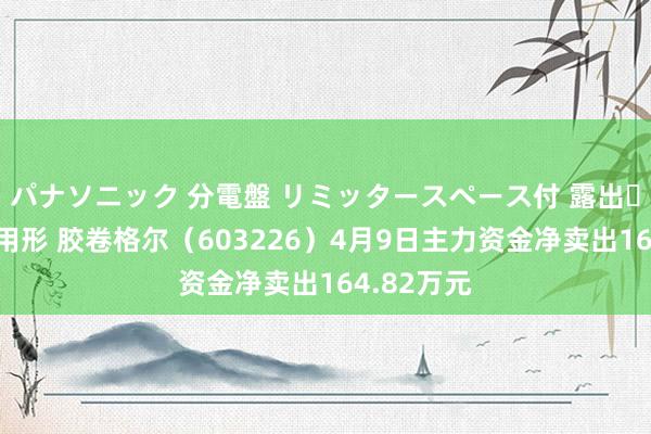 パナソニック 分電盤 リミッタースペース付 露出・半埋込両用形 胶卷格尔（603226）4月9日主力资金净卖出164.82万元