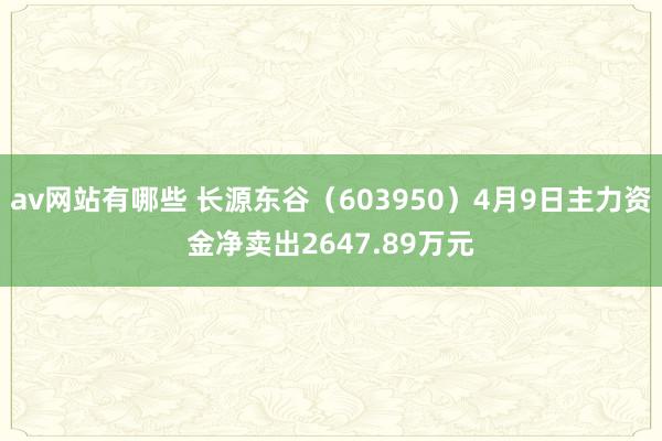 av网站有哪些 长源东谷（603950）4月9日主力资金净卖出2647.89万元