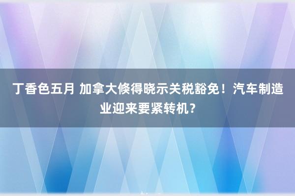 丁香色五月 加拿大倏得晓示关税豁免！汽车制造业迎来要紧转机？