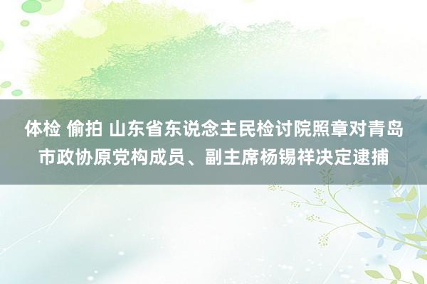 体检 偷拍 山东省东说念主民检讨院照章对青岛市政协原党构成员、副主席杨锡祥决定逮捕