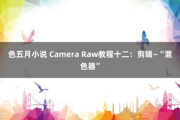 色五月小说 Camera Raw教程十二：剪辑—“混色器”