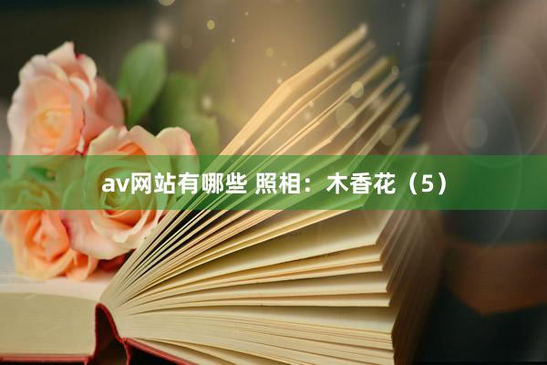 av网站有哪些 照相：木香花（5）
