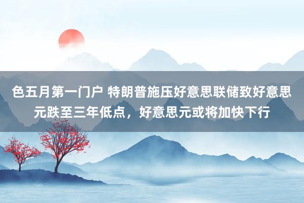色五月第一门户 特朗普施压好意思联储致好意思元跌至三年低点，好意思元或将加快下行