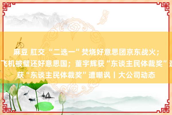 麻豆 肛交 “二选一”焚烧好意思团京东战火；2架行将录用的波音飞机被璧还好意思国；董宇辉获“东谈主民体裁奖”遭嘲讽丨大公司动态