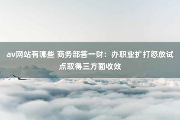 av网站有哪些 商务部答一财：办职业扩打怒放试点取得三方面收效