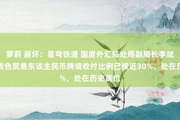 萝莉 崩坏：星穹铁道 国度外汇惩处局副局长李斌：当今货色贸易东谈主民币跨境收付比例已接近30%，处在历史高位