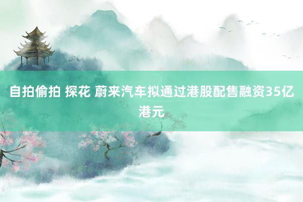 自拍偷拍 探花 蔚来汽车拟通过港股配售融资35亿港元